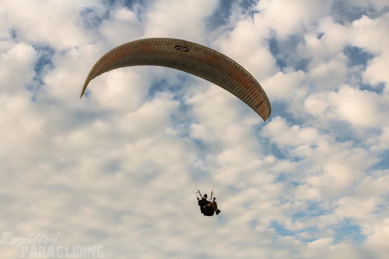 Paragliding Zoutelande-369