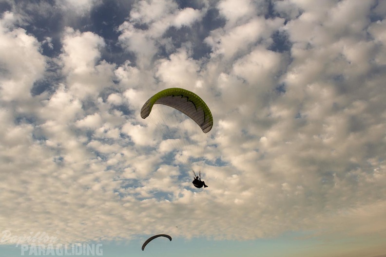 Paragliding Zoutelande-396