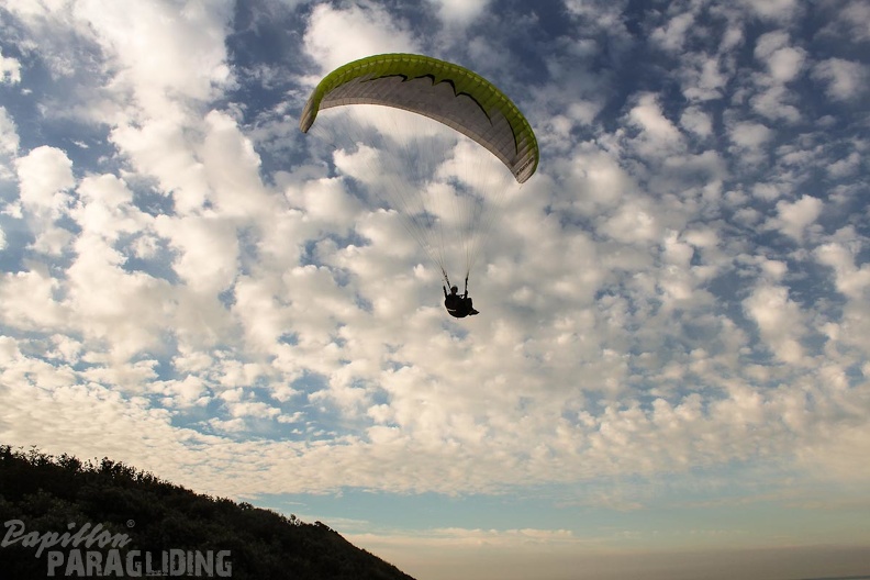 Paragliding Zoutelande-499