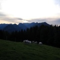 PK20.16-Ruhpolding-Paragliding-1052