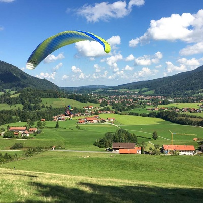 Papillon Ruhpolding