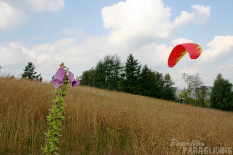 2009_Ettelsberg_Sauerland_Paragliding_094.jpg