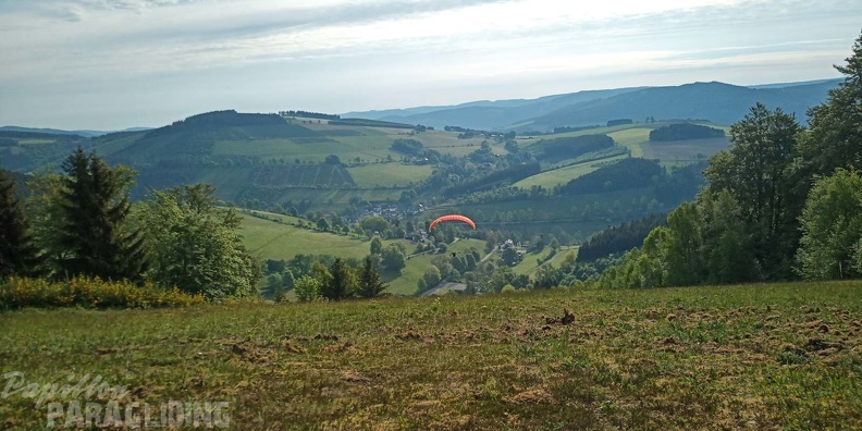 EK21.20-Papillon-Paragliding-168