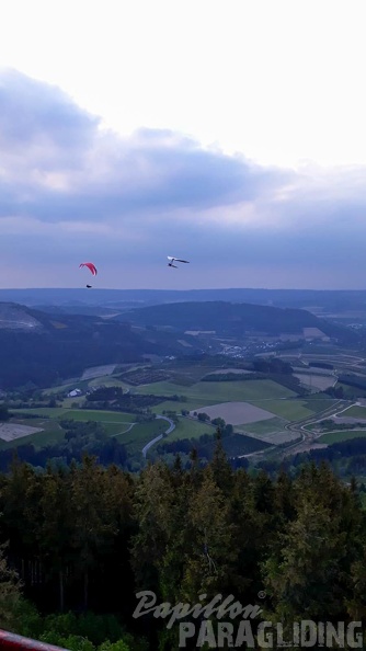 EK21.20-Papillon-Paragliding-214