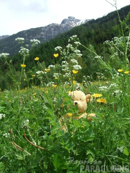 2013_Stubai_Pfingsten_Paragliding_024.jpg