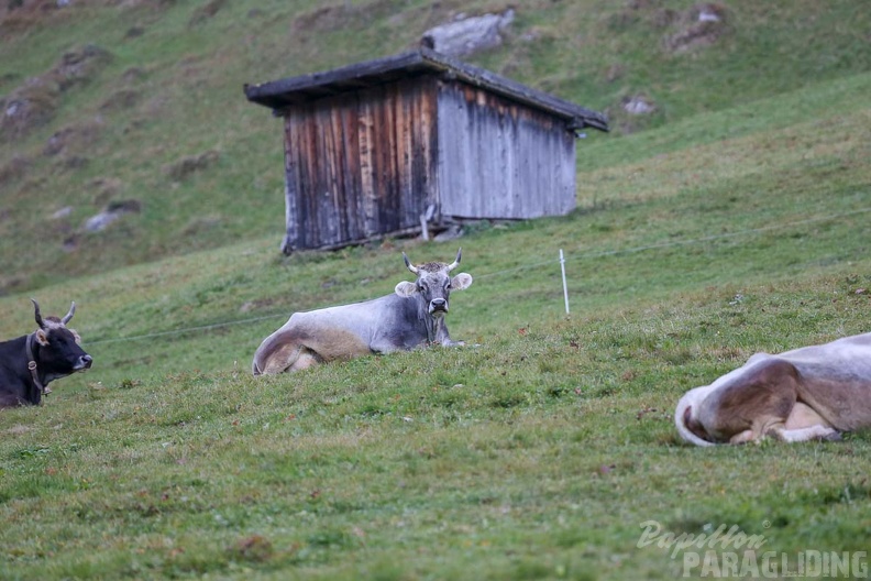 AH42.18 Hoehenflugschulung-Stubai-106