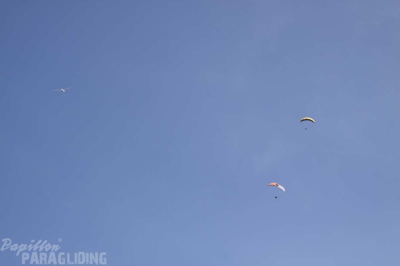 2010 Pferdskopf Wasserkuppe Paragliding 076