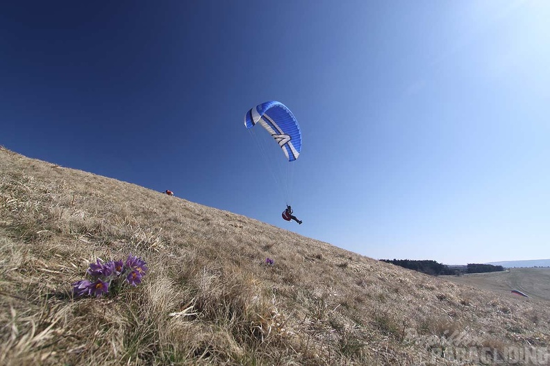 2010 RS16.10 Wasserkuppe Suedhang 043