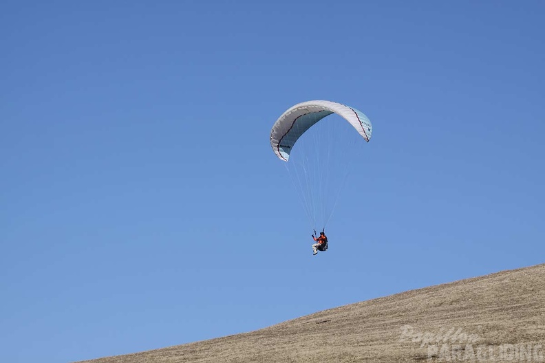 2010 RS16.10 Wasserkuppe Suedhang 045