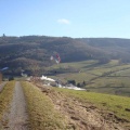 2011_RFB_JANUAR_Paragliding_018.jpg