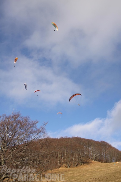 2011 RFB JANUAR Paragliding 037