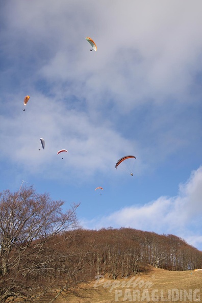 2011 RFB JANUAR Paragliding 037