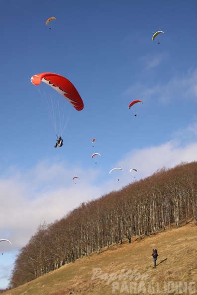 2011 RFB JANUAR Paragliding 042