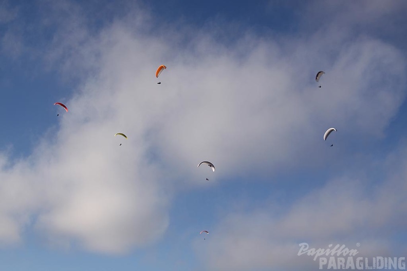 2011 RFB JANUAR Paragliding 060