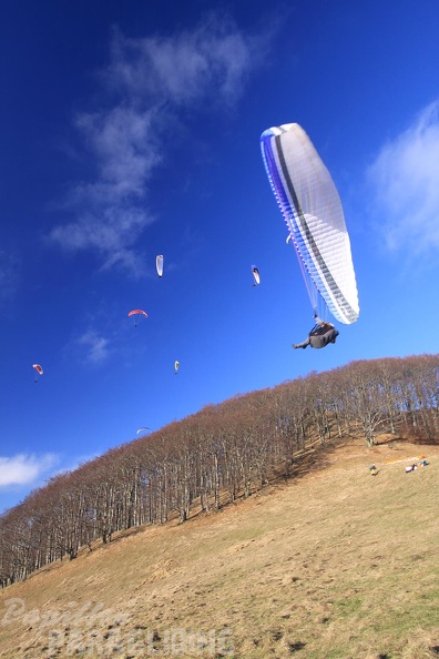 2011 RFB JANUAR Paragliding 086
