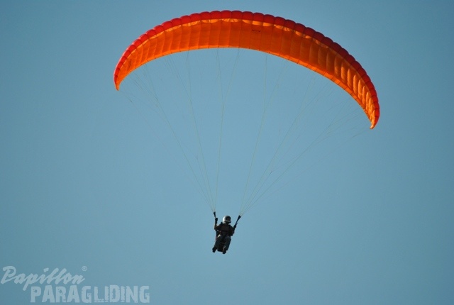2011 RFB SPIELBERG Paragliding 046