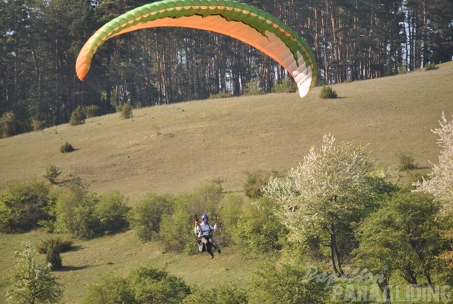 2011 RFB SPIELBERG Paragliding 083