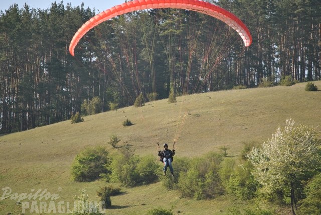 2011 RFB SPIELBERG Paragliding 091