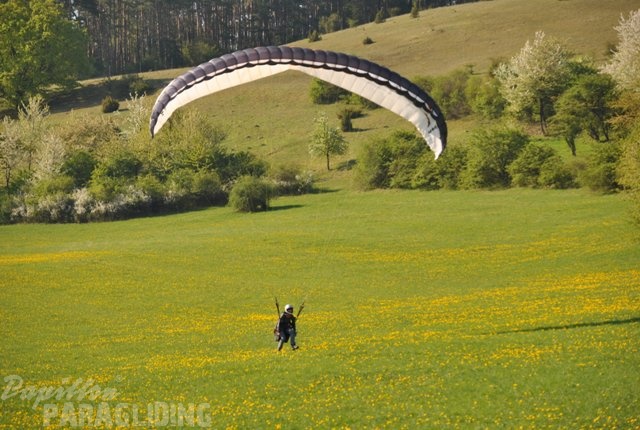 2011 RFB SPIELBERG Paragliding 099