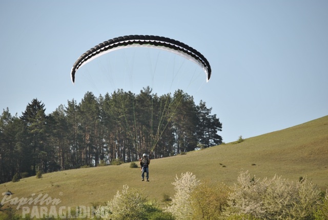 2011 RFB SPIELBERG Paragliding 108