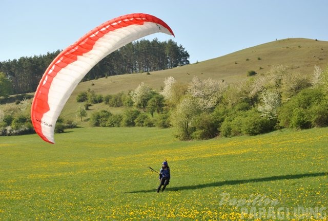 2011 RFB SPIELBERG Paragliding 114