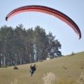 2011 RFB SPIELBERG Paragliding 128