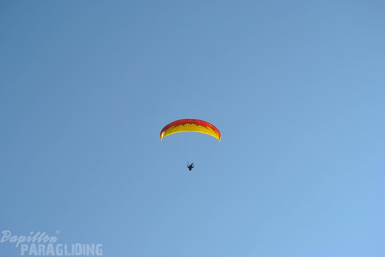 2011_RFB_WESTHANG_Paragliding_017.jpg