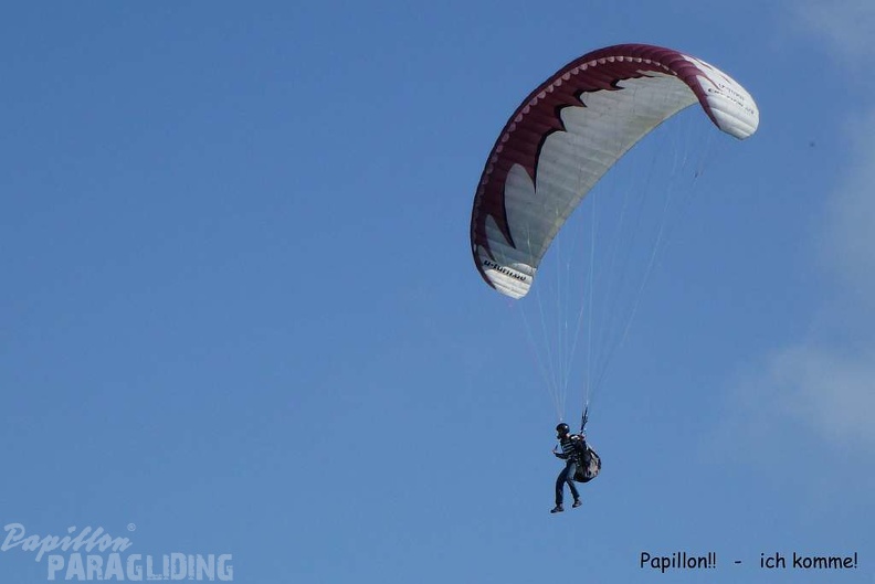 2011_RK27.11_Paragliding_Wasserkuppe_056.jpg