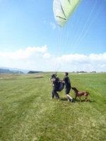 2011 RS36.11 Paragliding Wasserkuppe 020