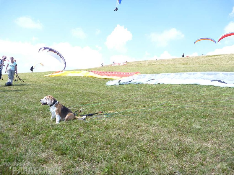 2011 RS36.11 Paragliding Wasserkuppe 045