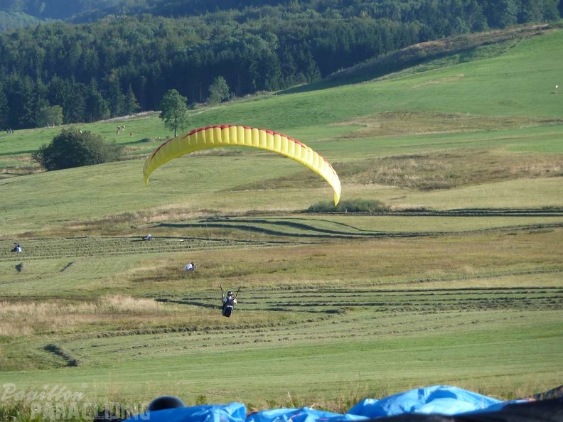 2011 RS36.11 Paragliding Wasserkuppe 121