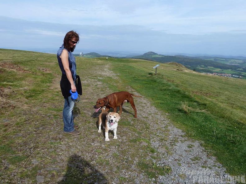 2011 RS36.11 Paragliding Wasserkuppe 129