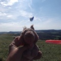 2012 RK33.12 Paragliding Kurs 138