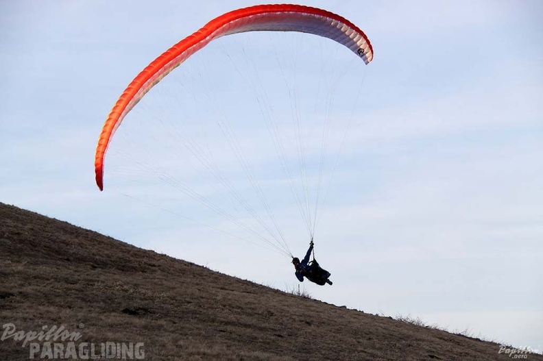 2013 RK16.13 Paragliding Wasserkuppe 122