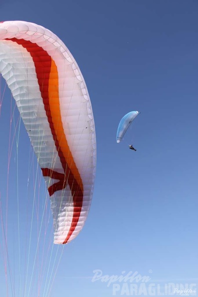 2013_RK25.13_Wasserkuppe_Gleitschirm_032.jpg