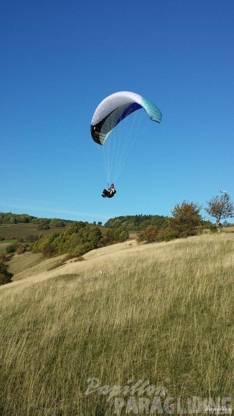 2013_RK44.13_Wasserkuppe_Gleitschirm_046.jpg