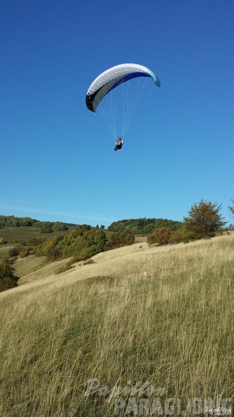 2013 RK44.13 Wasserkuppe Gleitschirm 058