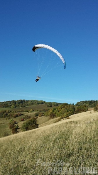 2013 RK44.13 Wasserkuppe Gleitschirm 062