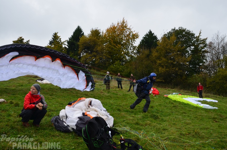 2013 RK RA RG41.13 Paragliding Wasserkuppe 260