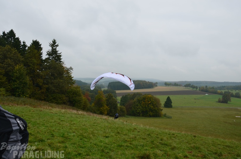 2013 RK RA RG41.13 Paragliding Wasserkuppe 264