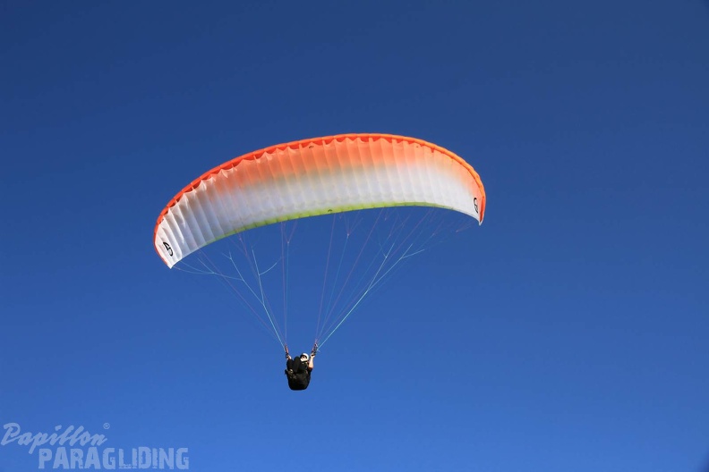 RK32 14 Paragliding Wasserkuppe 331