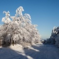 Wasserkuppe-Winter-154