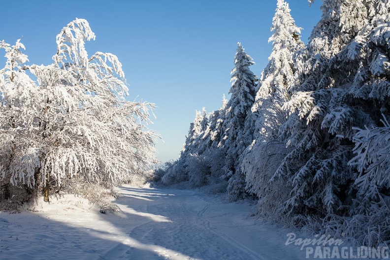 Wasserkuppe-Winter-157