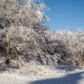 Wasserkuppe-Winter-166