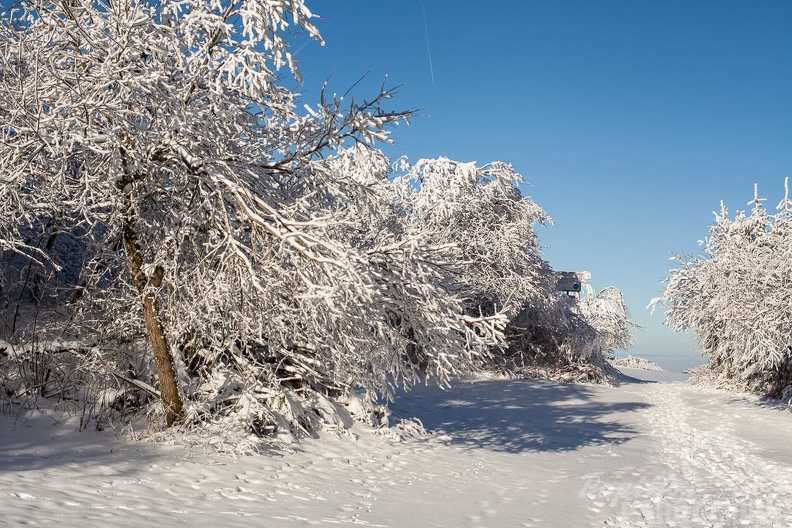 Wasserkuppe-Winter-168