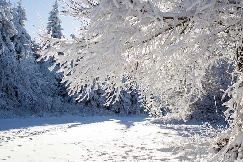 Wasserkuppe-Winter-176