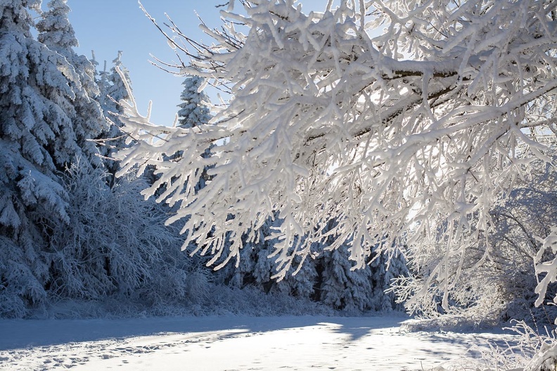 Wasserkuppe-Winter-177