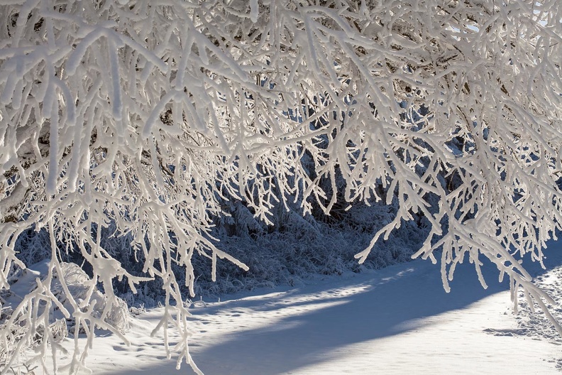 Wasserkuppe-Winter-181