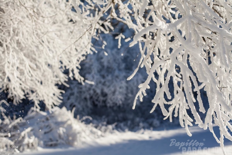 Wasserkuppe-Winter-200