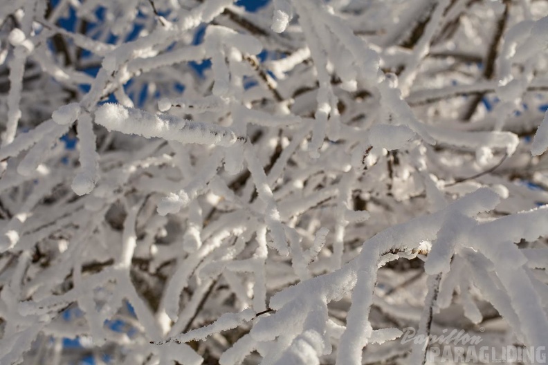 Wasserkuppe-Winter-206.jpg